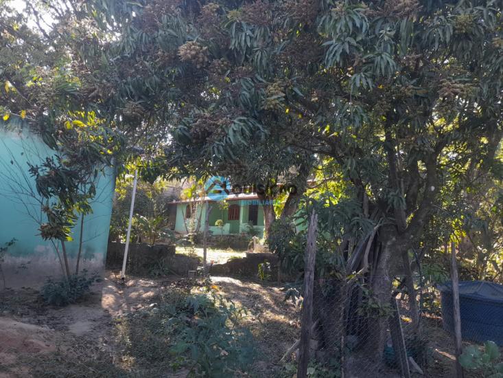 sitio-venda-bandeirinhas-betim-1027680