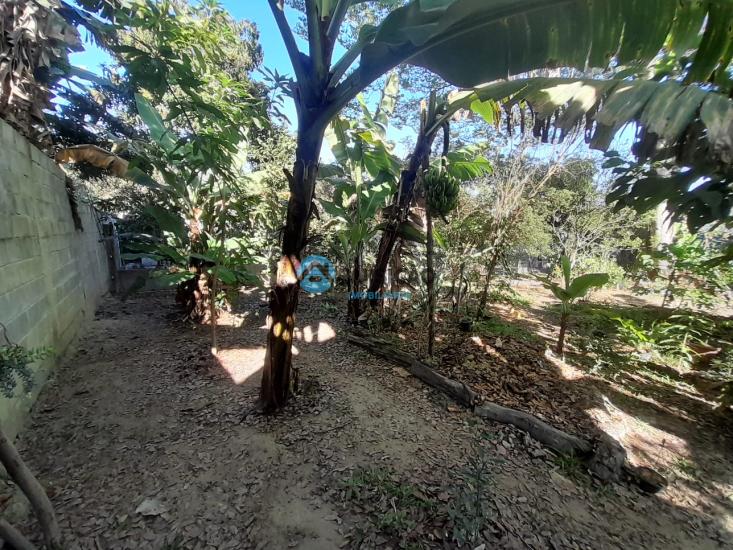 sitio-venda-bandeirinhas-betim-1027685