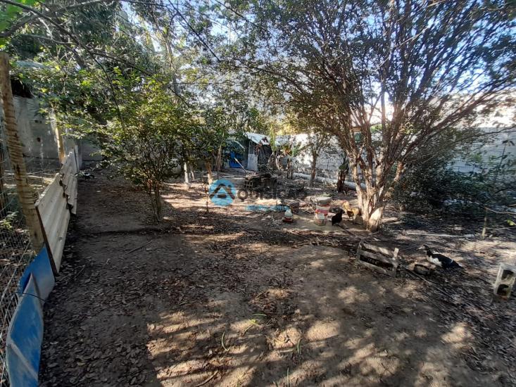 sitio-venda-bandeirinhas-betim-1027715