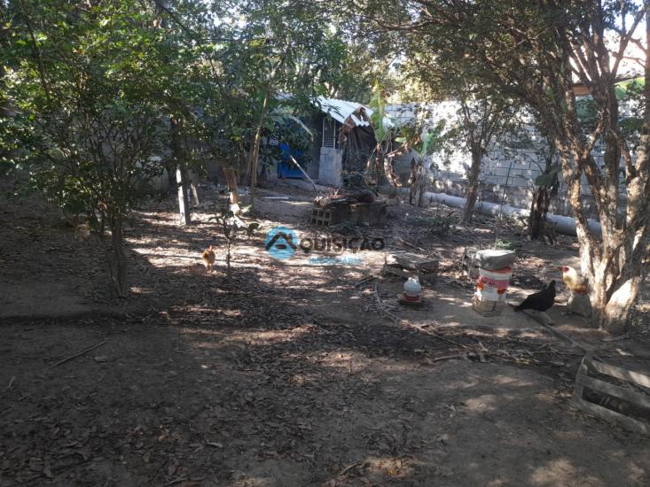 sitio-venda-bandeirinhas-betim-1027719