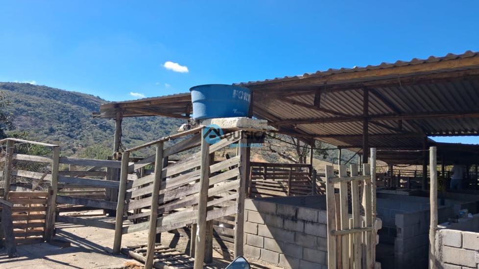 fazenda-venda-para-de-minas-1060603