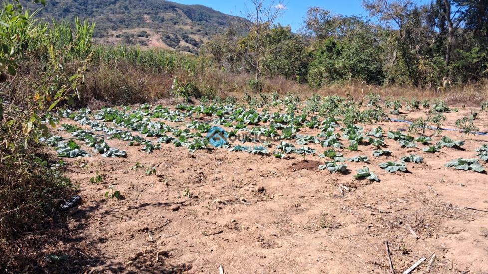 fazenda-venda-para-de-minas-1060613