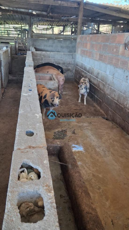 fazenda-venda-para-de-minas-1060623