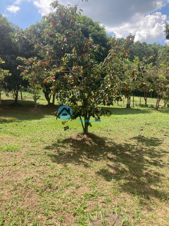 fazenda-venda-fazenda-passa-tempo-mg-porteira-fechada-952209