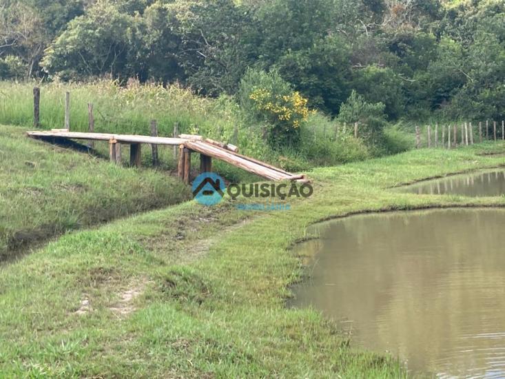 fazenda-venda-fazenda-passa-tempo-mg-porteira-fechada-952199