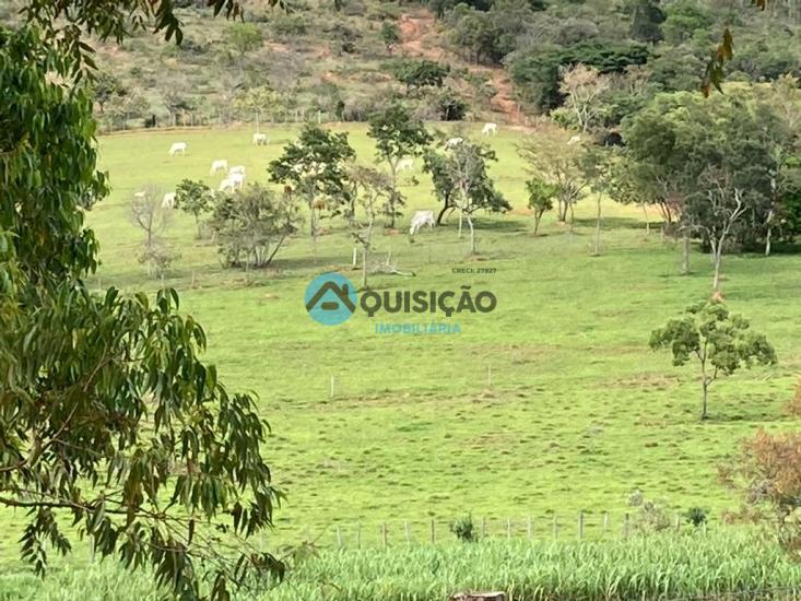 fazenda-venda-fazenda-passa-tempo-mg-porteira-fechada-952201