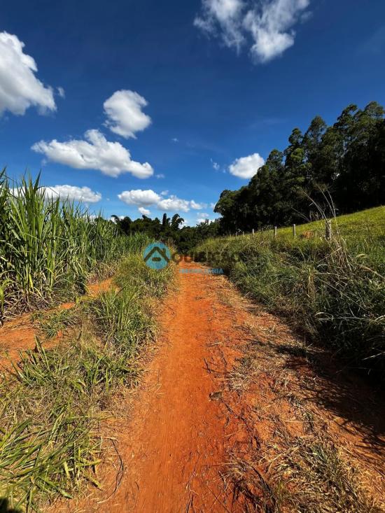 fazenda-venda-bambui-mg-1055520