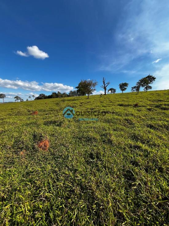 fazenda-venda-bambui-mg-1055529
