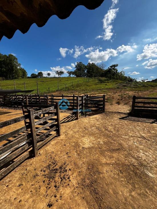 fazenda-venda-bambui-mg-1055530