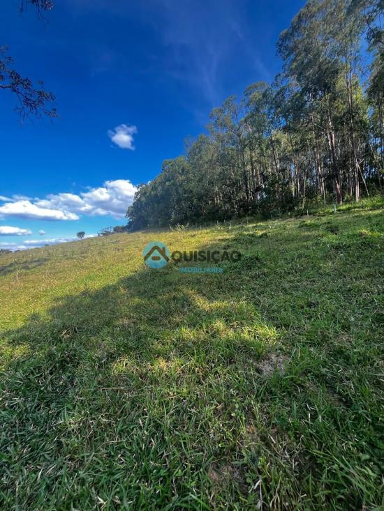 fazenda-venda-bambui-mg-1055531