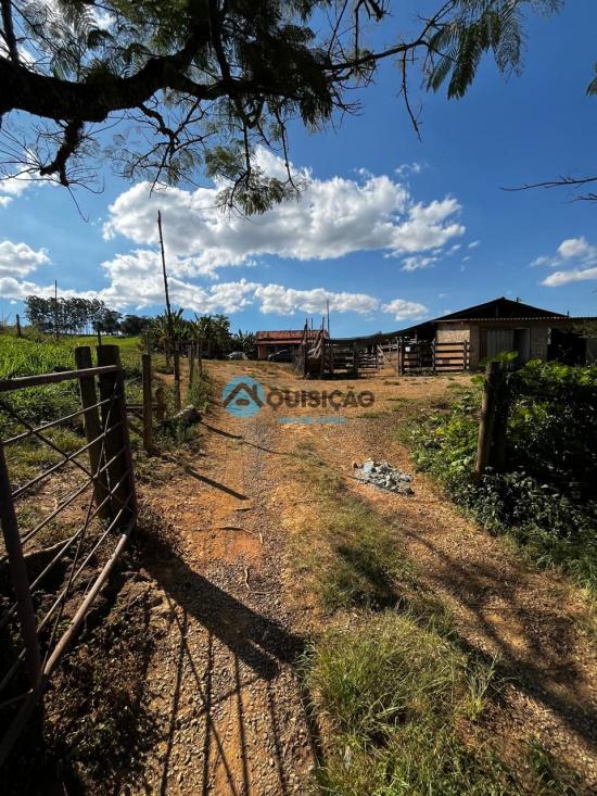 fazenda-venda-bambui-mg-1055532