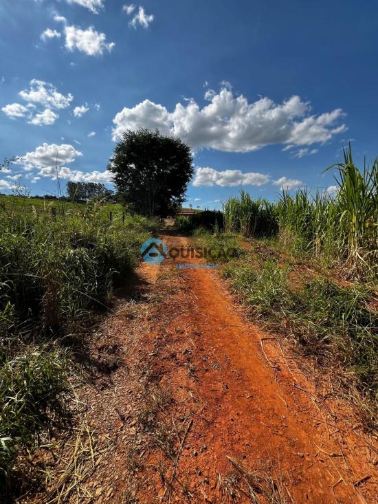 fazenda-venda-bambui-mg-1055533