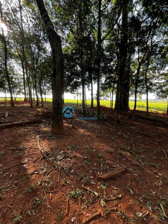 fazenda-venda-bambui-mg-1055536