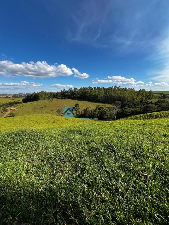 fazenda-venda-bambui-mg-1055538