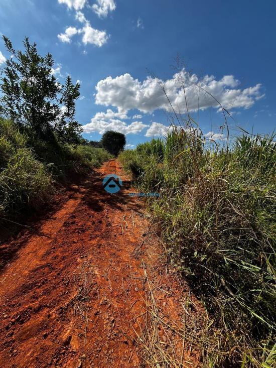 fazenda-venda-bambui-mg-1055521