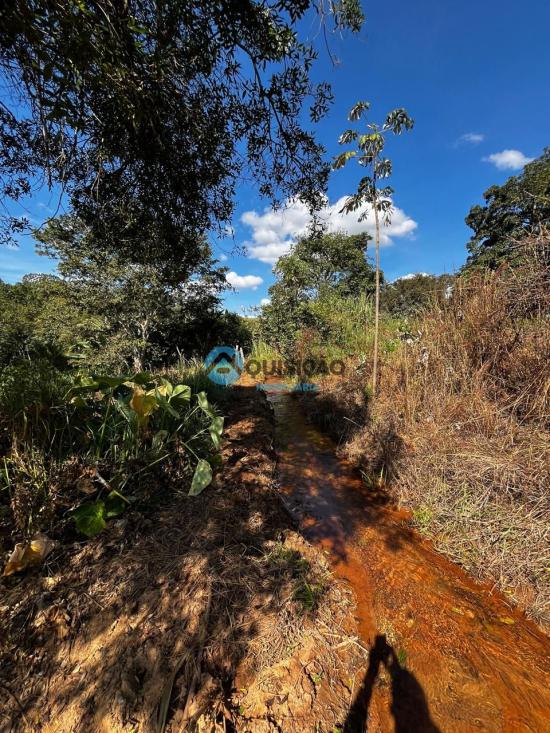 fazenda-venda-bambui-mg-1055522