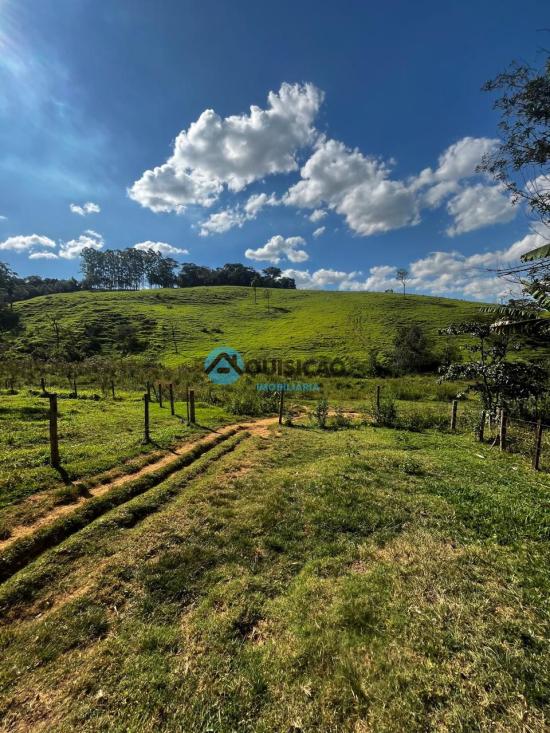 fazenda-venda-bambui-mg-1055523