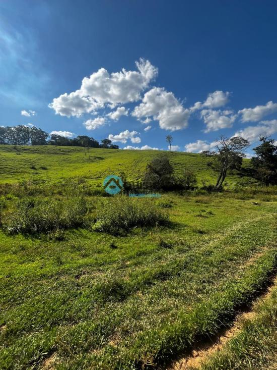 fazenda-venda-bambui-mg-1055525