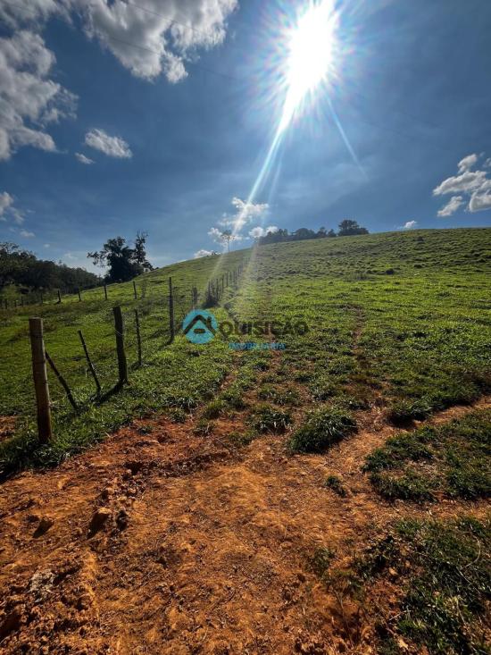 fazenda-venda-bambui-mg-1055526