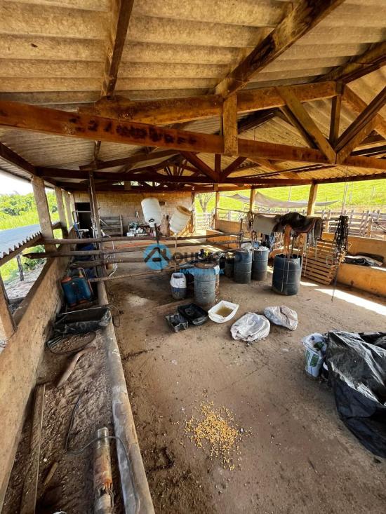 fazenda-venda-bambui-mg-1055528
