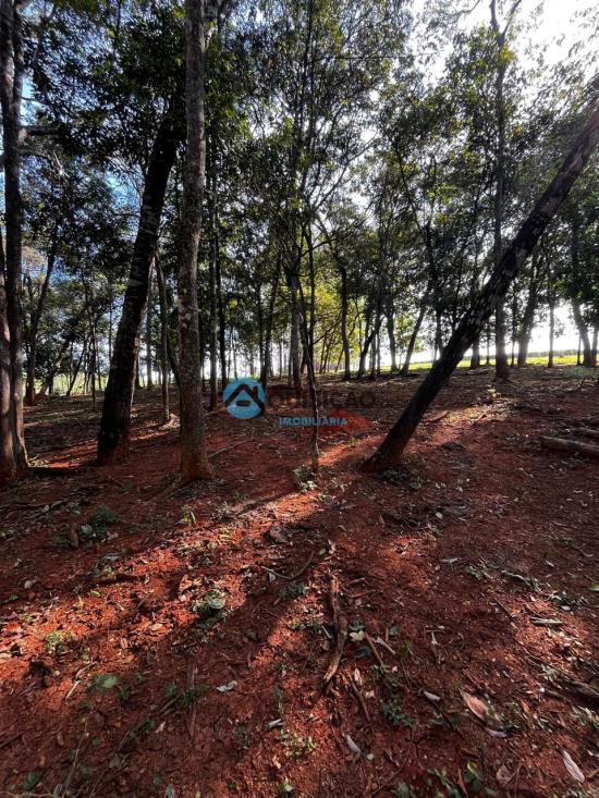 fazenda-venda-bambui-mg-1055540