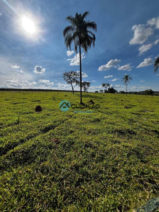fazenda-venda-bambui-mg-1055542