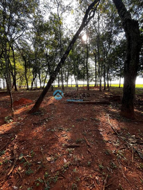 fazenda-venda-bambui-mg-1055546