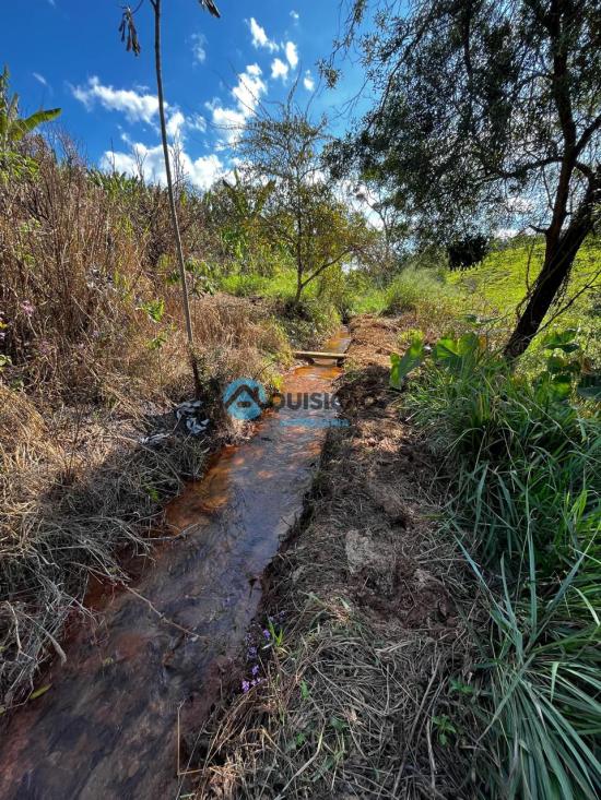 fazenda-venda-bambui-mg-1055547