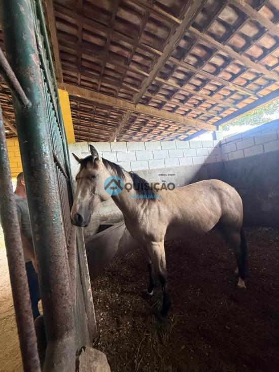 fazenda-venda-mario-campos-betim-1047399