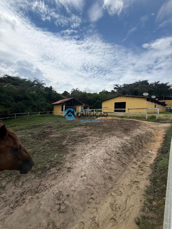 fazenda-venda-mario-campos-betim-1047421