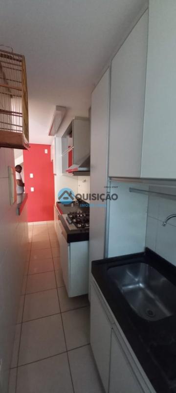 apartamento-venda-bairro-centro-betim-606447